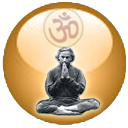 Words of Wisdom from Yogi Amrit Desai